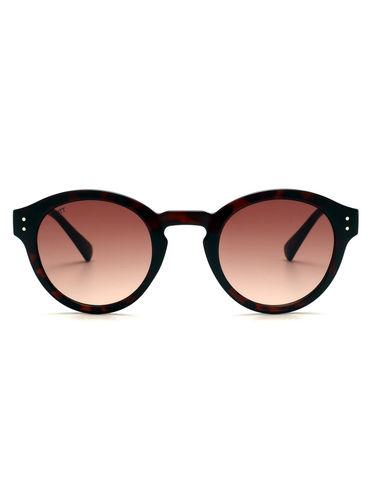 Gradient Brown Lens Round Sunglass Brown Frame - 2536 C2 River 48