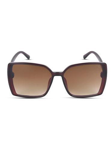 Brown Gradient Square Sunglasses for Women (2826MG3733)