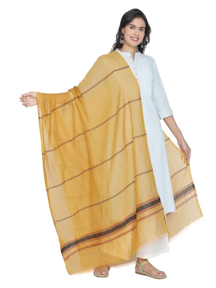 Gold Striped Silk Tencel Dupatta