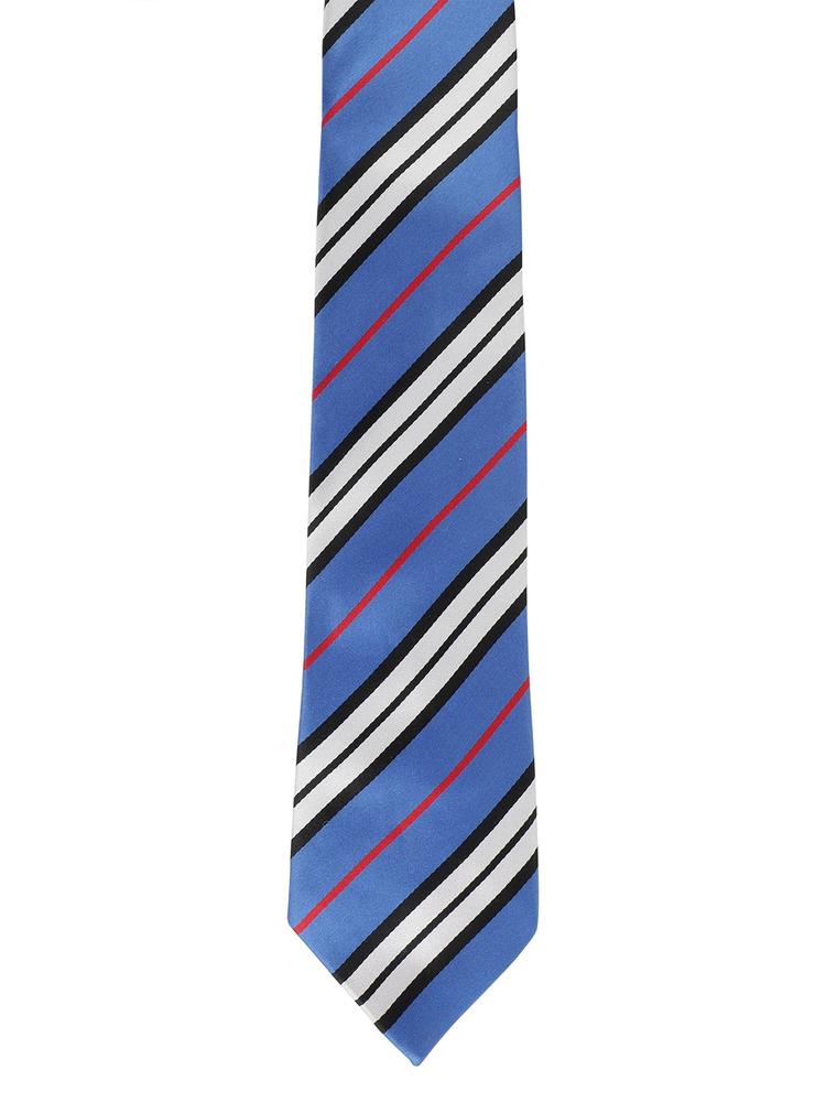 Alvaro Castagnino Men Blue & Red Striped Broad Tie