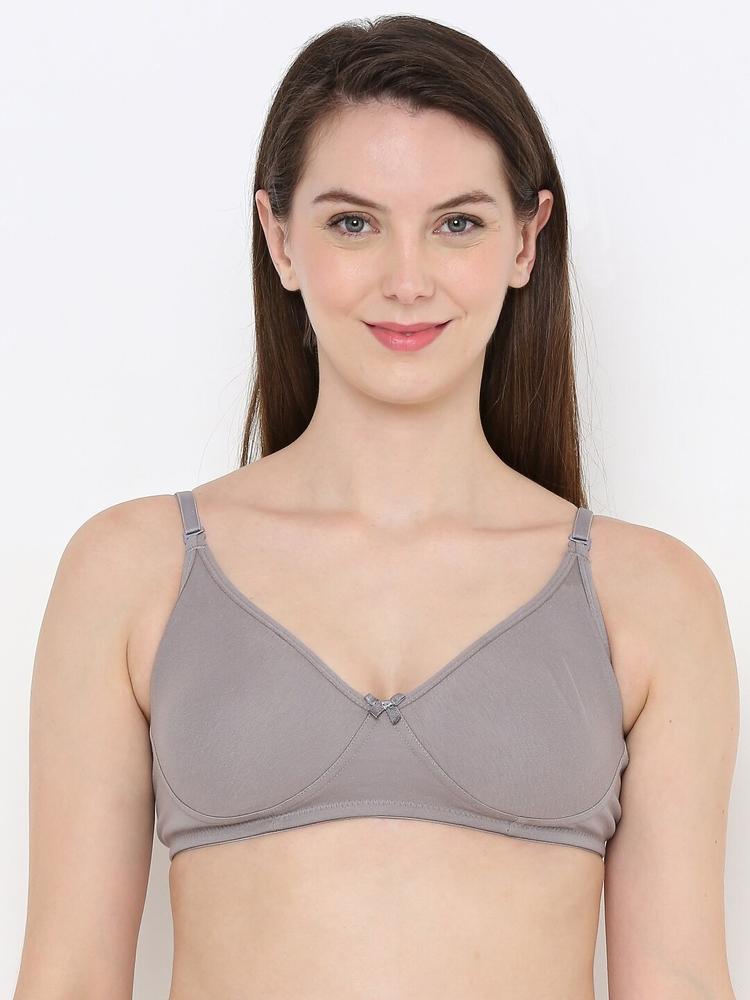 Berrys Intimatess Lightly Padded Non-Wired All Day Comfort T-shirt Bra
