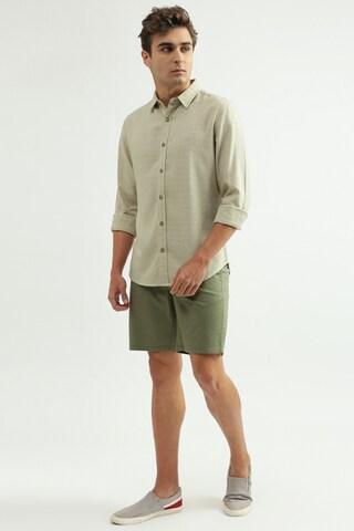 Olive Shorts