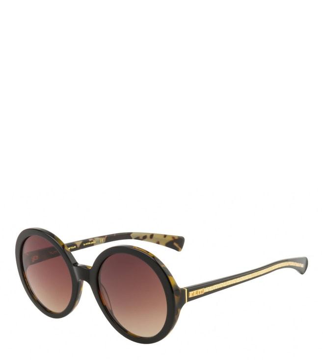 Numi Paris Brown Superstar Sunglasses for Women